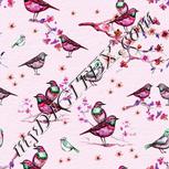 Colour:B