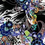Colour:F