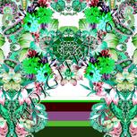 Colour:C