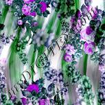 Colour:C