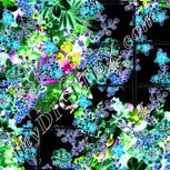 Colour:F