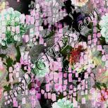 Colour:B