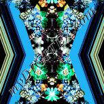 Colour:F