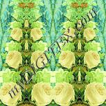 Colour:K