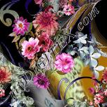 Colour:A