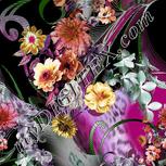 Colour:B