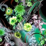 Colour:C