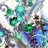Colour:F