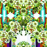 Colour:K