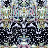 Colour:F