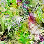 Colour:D