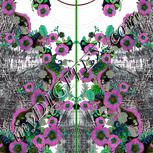 Colour:C