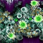Colour:C
