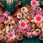 Colour:J
