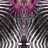 Colour:B