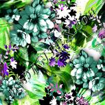 Colour:D