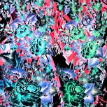 Colour:F