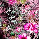 Colour:B