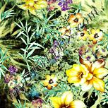 Colour:K