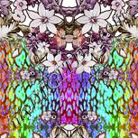 Colour:A