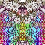 Colour:B