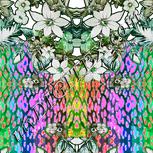 Colour:C