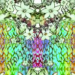 Colour:K