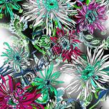 Colour:C