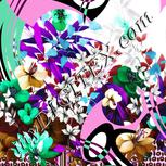 Colour:B