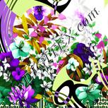 Colour:D