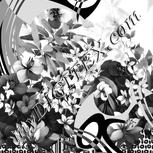 Colour:E