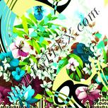 Colour:K