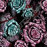 Colour:B