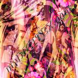 Colour:J