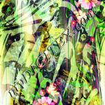 Colour:K