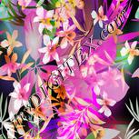 Colour:B