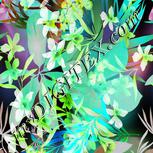 Colour:C