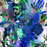Colour:F