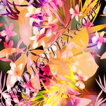 Colour:J