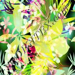 Colour:K