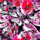 Colour:B