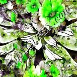 Colour:D