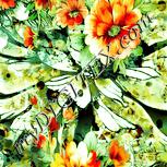 Colour:K