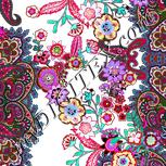 Colour:B