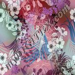 Colour:B