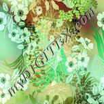 Colour:K