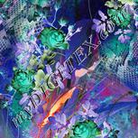 Colour:F