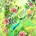 Colour:K