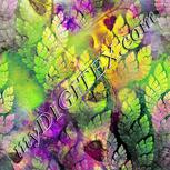 Colour:D