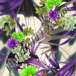 Colour:D